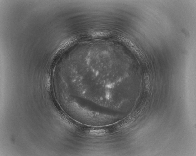 X0000115510357200911201643