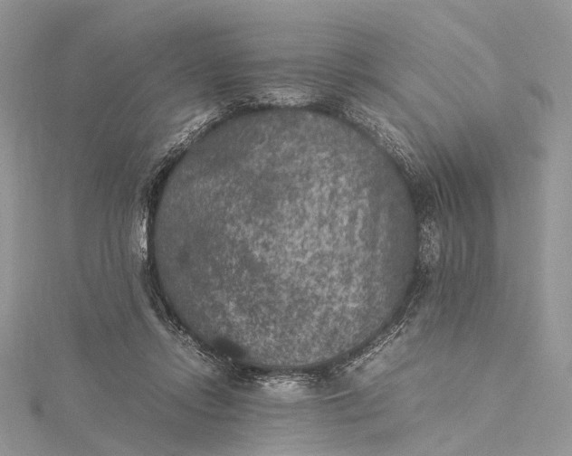 X0000115510358200911201643