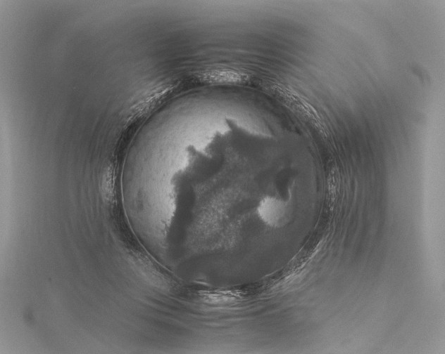 X0000115510359200911201643