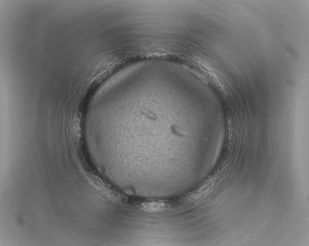 X0000115510362200911201643