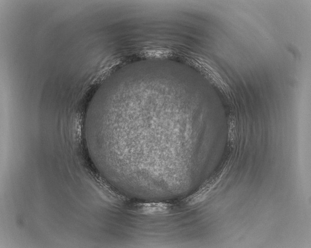 X0000115510363200911201643