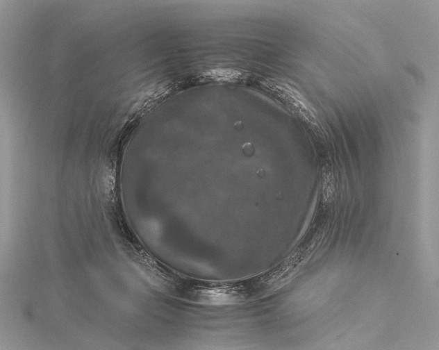 X0000115510365200911201643