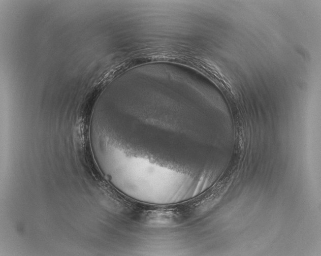 X0000115510366200911201643