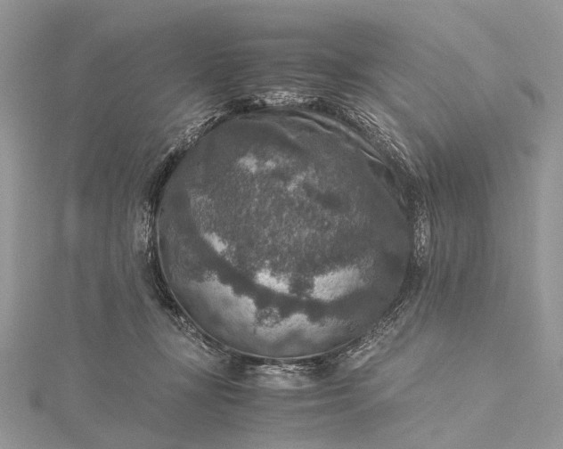 X0000115510367200911201643