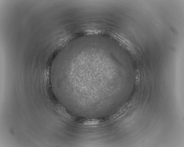 X0000115510369200911201643