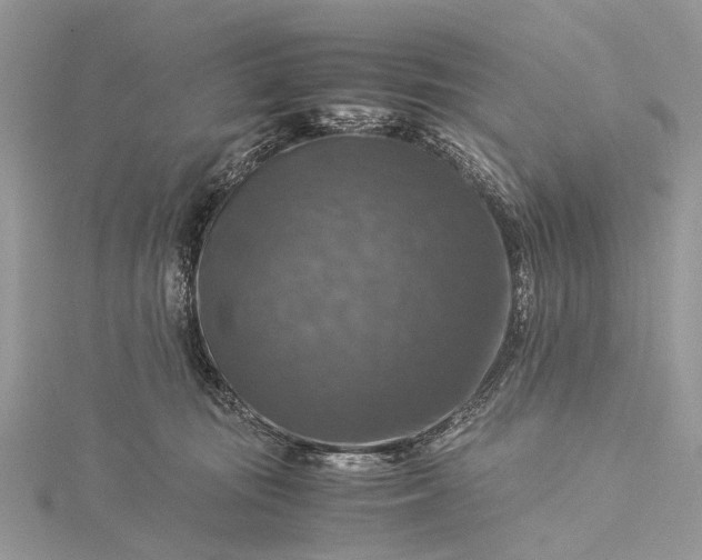 X0000115510371200911201643