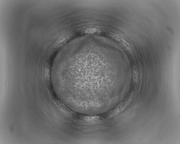 X0000115510375200911201643