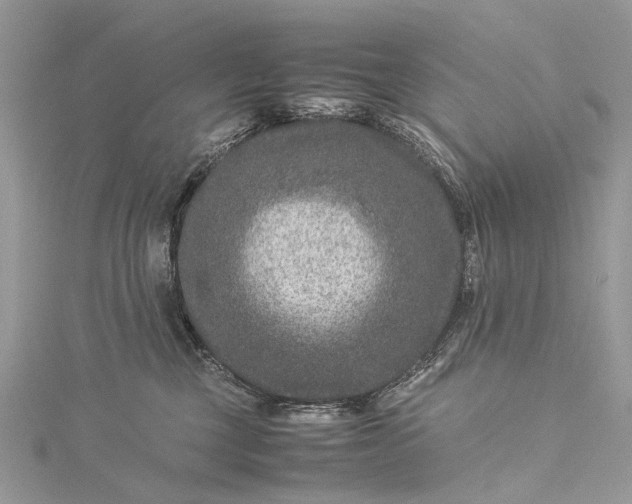 X0000115510377200911201643