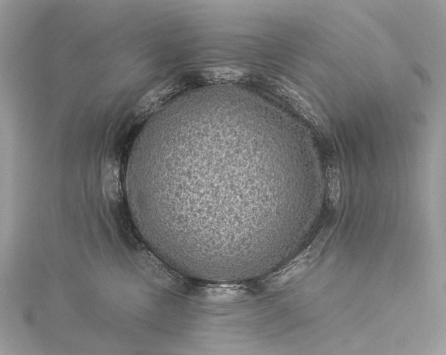 X0000115510378200911201643