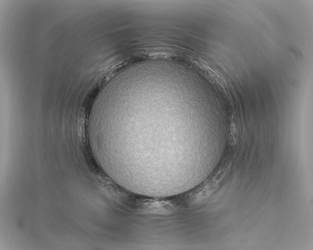 X0000115510379200911201643