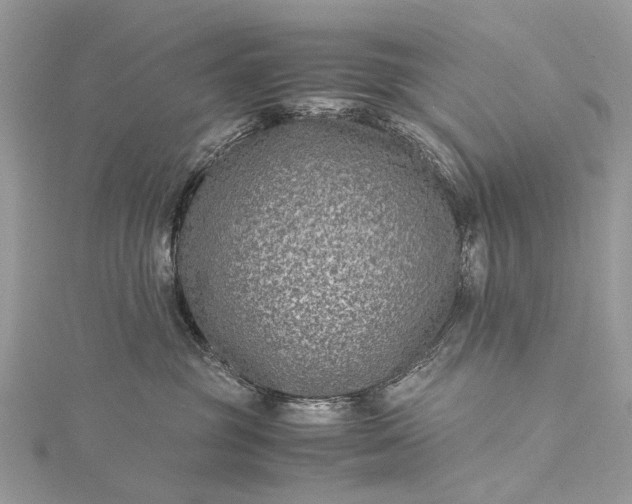 X0000115510381200911201643