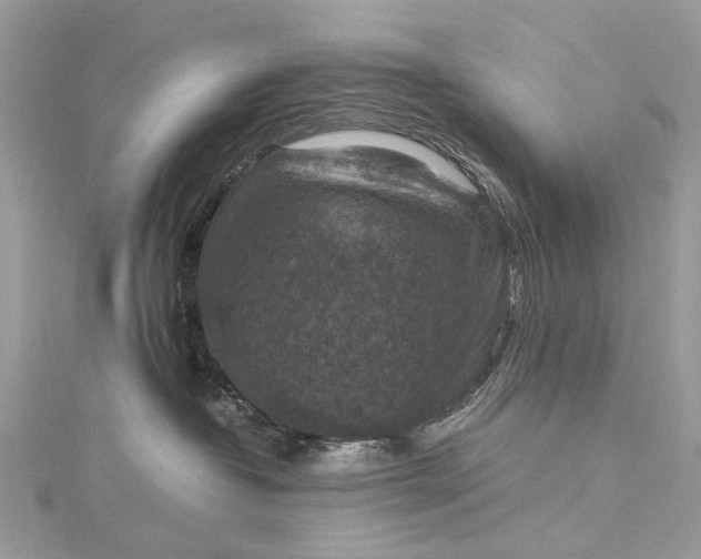 X0000115510382200911201643