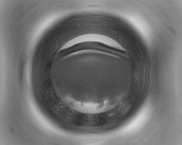 X0000115510383200911201643