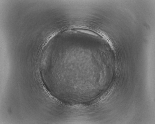 X0000115510385200911201643