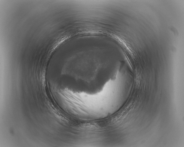 X0000115510386200911201643