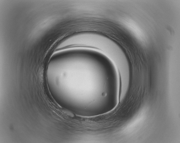 X0000115510387200911201643