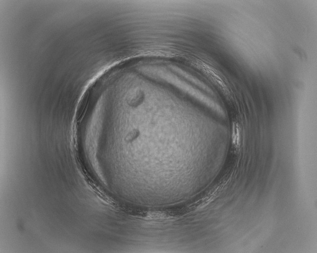 X0000115510388200911201643