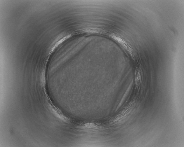 X0000115510390200911201643