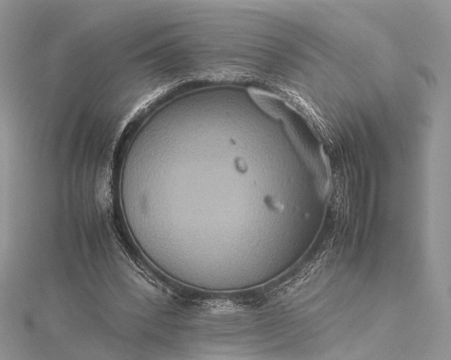 X0000115510392200911201643