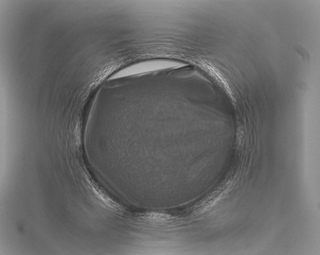 X0000115510393200911201643