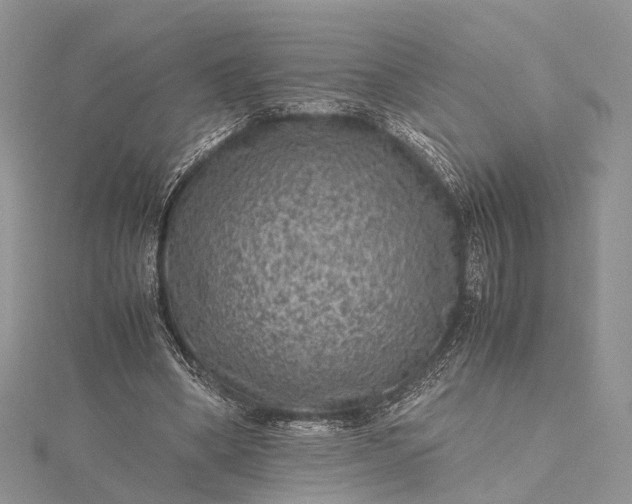 X0000115510394200911201643