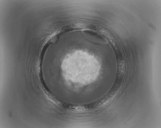 X0000115510395200911201643