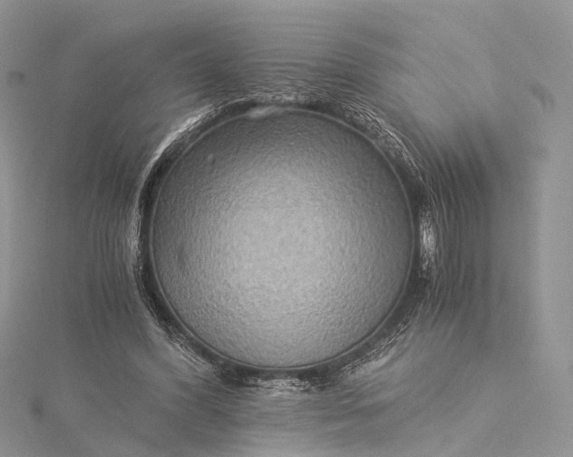 X0000115510396200911201643