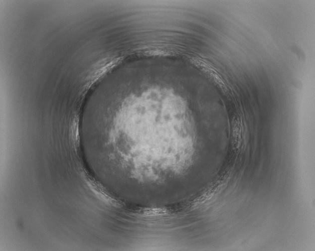 X0000115510398200911201643