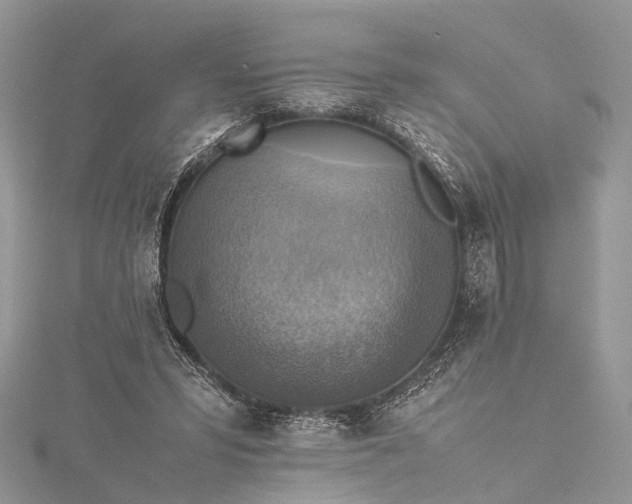 X0000115510399200911201643