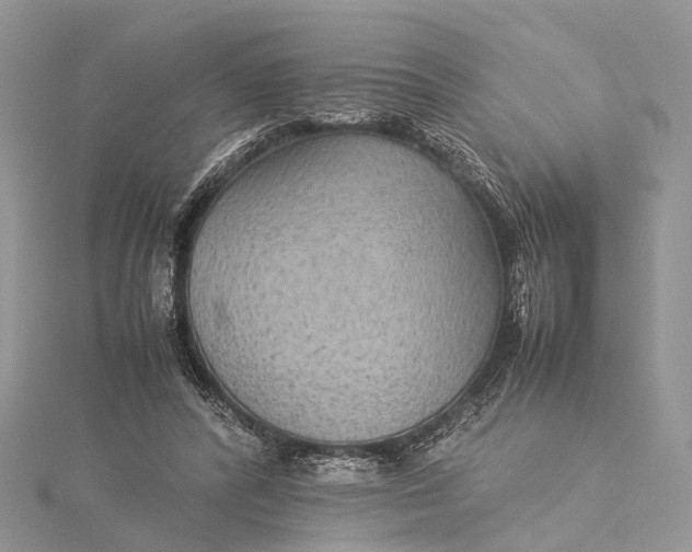 X0000115510400200911201643