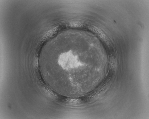 X0000115510401200911201643