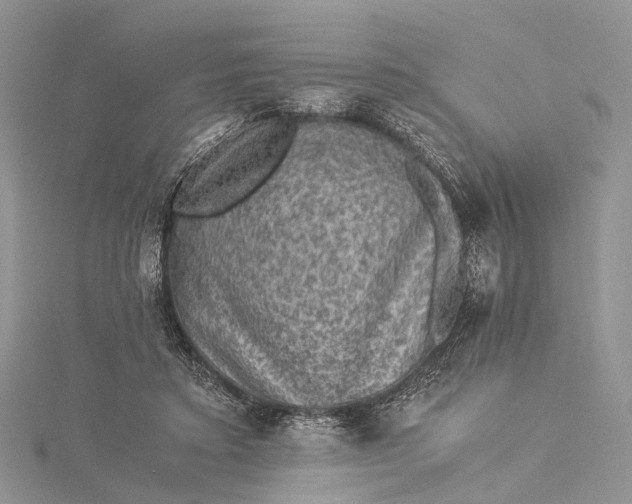 X0000115510403200911201643