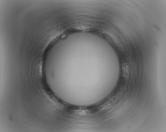 X0000115510404200911201643