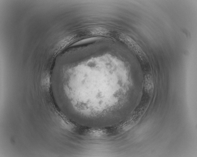 X0000115510405200911201643