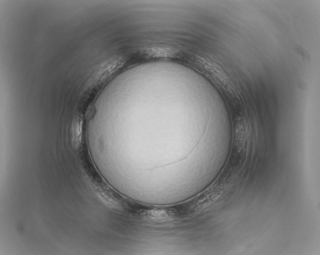 X0000115510406200911201643