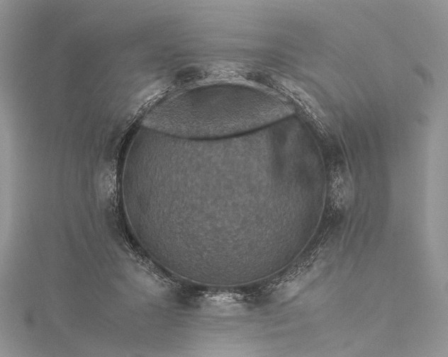 X0000115510407200911201643