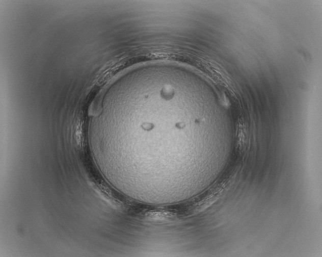 X0000115510408200911201643