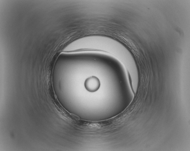 X0000115510409200911201643