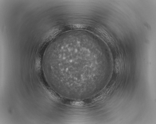 X0000115510410200911201643