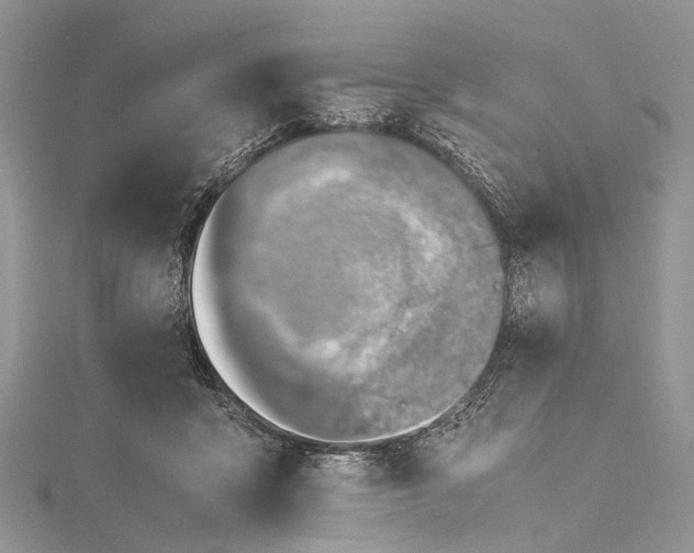 X0000115510411200911201643