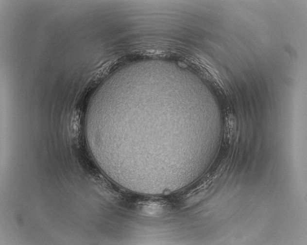 X0000115510412200911201643