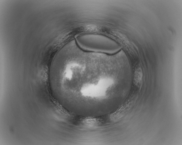 X0000115510413200911201642