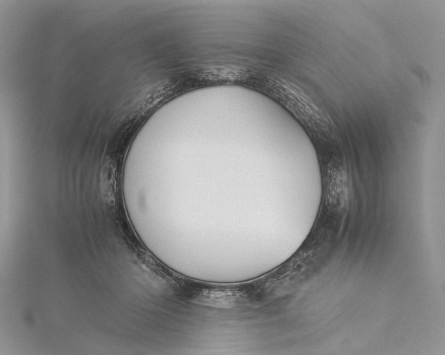 X0000115510414200911201642