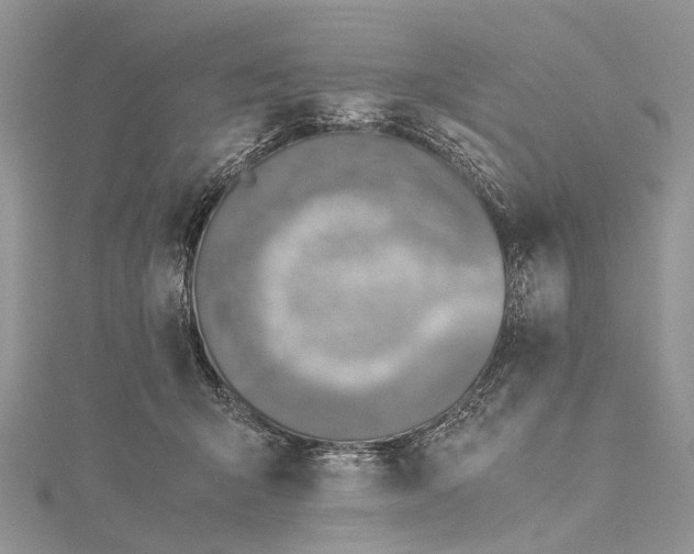 X0000115510415200911201642