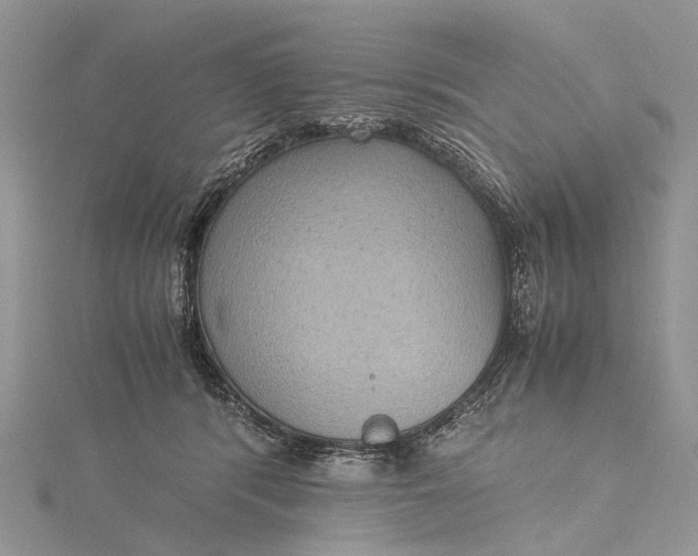 X0000115510416200911201642