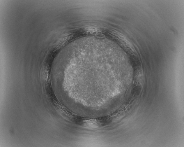 X0000115510417200911201642