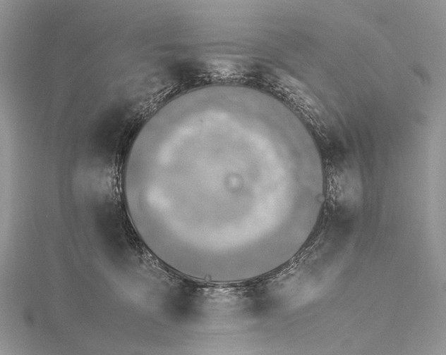 X0000115510419200911201642