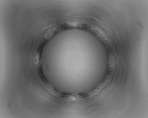 X0000115510420200911201642