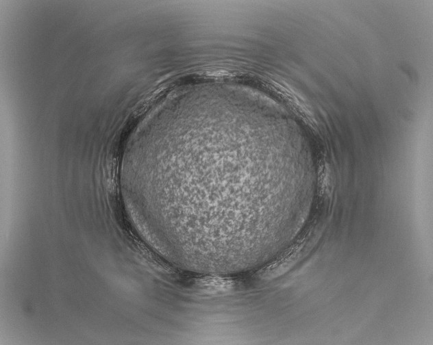 X0000115510421200911201642