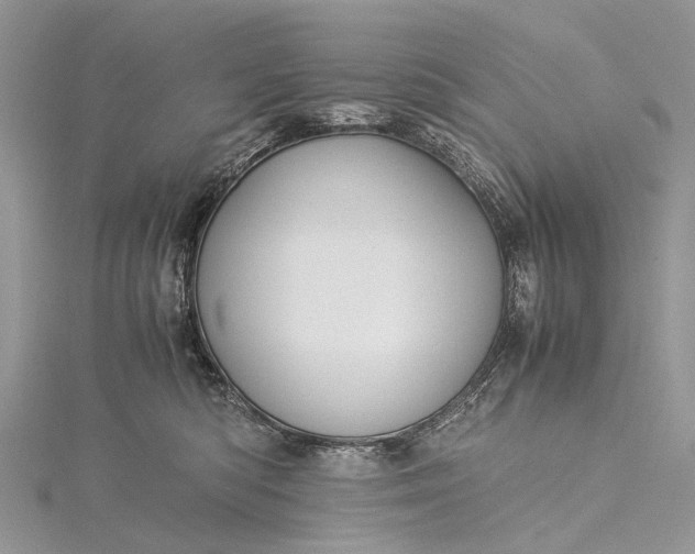 X0000115510422200911201642